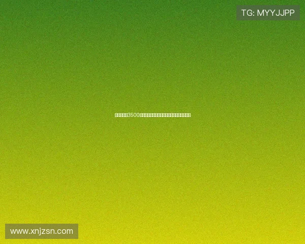 维拉以最高3500万欧元签下尼斯前锋盖桑，正式加入英超阵容